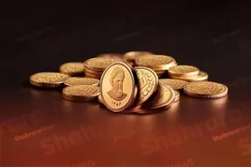 ثبات نسبی در بازار سکه مشهد (۲۳ شهریور ۱۴۰۵)