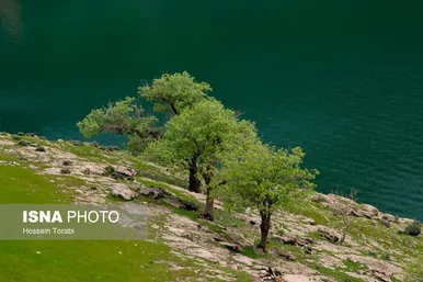 ایران زیباست | طبیعت بهاری چهارمحال و بختیاری