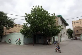 مشارکت مردمی برای بهسازی بافت وکیل&zwnj;آباد مشهد