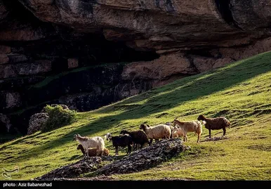 ایران زیباست | طبییعت بهاری منطقه کوهستانی هفت حوض - خرم آباد