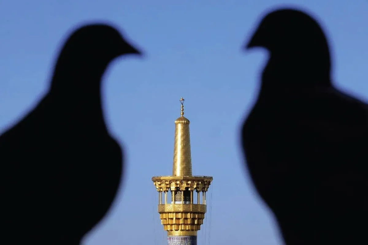 ۸ دقیقه تا بهشت