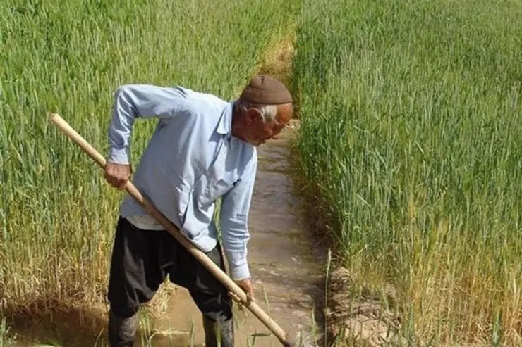 اعلام زمان وایز عیدی مستمری‌بگیران صندوق بیمه روستاییان و عشایر