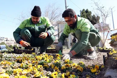 گل‌کاری در نقاط مختلف شهر مشهد