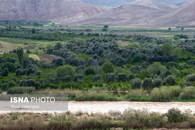 ایران زیباست | طبیعت بهاری «طارُم»، هندوستان ایران