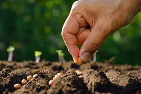 پیش&zwnj;بینی تخصیص ۱۹۹ هزار تن کود یارانه&zwnj;ای به خراسان رضوی در سال جاری