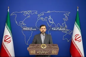 اظهارات سخنگوی وزارت خارجه درباره اهمیت تشکیل سازمان مهاجران