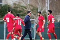 شگفتانه‌های لیست قلعه نویی