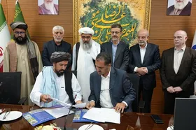 در سال ۱۴۰۳ بیش از ۴۰ هزار بیمار افغانستانی از خدمات درمانی مشهد بهره&zwnj;مند شدند