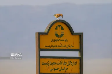 ایران زیباست | پناهگاه حیات وحش نایبندان