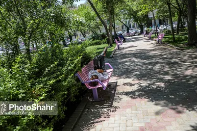 گرمای هوا در مشهد