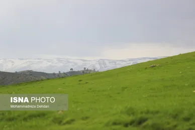 ایران زیباست | زمستان بَهاری در فارس