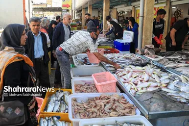 گزارش تصویری |  بازار ماهی فروشان در شهرک عرب‌های مشهد