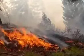 آتش سوزی در جنگل&zwnj;های نورستان در شرق افغانستان + فیلم