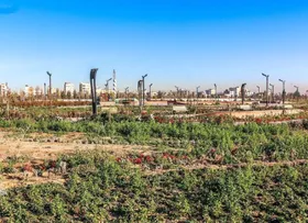 آغاز عملیات اجرایی پروژه باغ رویش در مشهد (۱۳ اردیبهشت ۱۴۰۴)