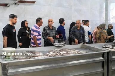 گزارش تصویری |  بازار ماهی فروشان در شهرک عرب‌های مشهد