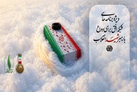 ویژه برنامه&zwnj;های شبکه افق برای وداع و تشییع رهبر شهید انقلاب