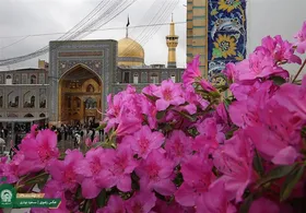 برنامه &lrm;های جشن عید قربان در حرم امام رضا(ع)