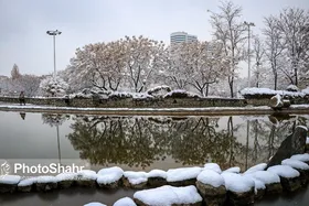 بارش باران و برف در خراسان رضوی | دمای شبانه به صفر درجه می&zwnj;رسد (٢۴ دی ١۴٠٢)