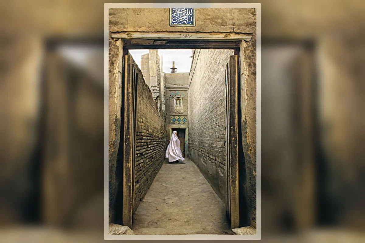 مثل یک کبوتر سفید