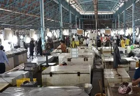۱۰۷ مبتلا به کرونا در یک بازار ماهی بندرعباس شناسایی شدند+ویدئو