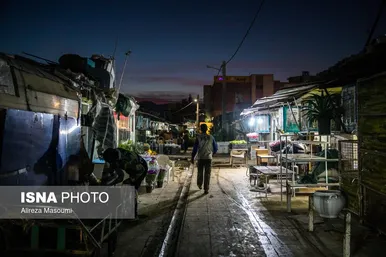 بازار گل محلاتی تهران در آستانه سال نو