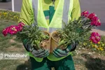 مشهد با نصب نماد‌ها و نشانه‌های هنری برای نوروز ۱۴۰۰ آماده می‌شود + تصاویر
