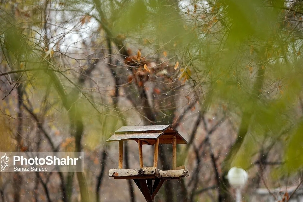 وزش باد شدید در خراسان رضوی (٢۵ خردادماه ١۴٠٢)