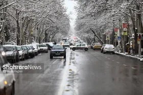 کاهش نسبی آمار تصادفات در کلان&zwnj;شهر مشهد با وجود یخبندان و لغزندگی معابر طی شبانه&zwnj;روز گذشته (یکشنبه، ۳۰ آذر ۱۴۰۴)