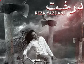 قطعه موسیقی جدید رضا یزدانی با نام &laquo;درخت&raquo; منتشر شد + دانلود آهنگ