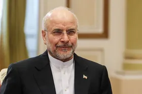 رئیس مجلس شورای اسلامی: از تصمیم دولت برای واگذاری اختیارات به استان&zwnj;ها حمایت می&zwnj;کنم