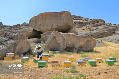 پدر، جانِ زندگی
