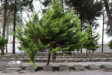 گورستان لهستانی‌ها در گیلان