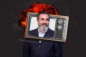 درباره بایا، سیامک انصاری و نمایش رگباری یک آگهی بازرگانی در تلویزیون