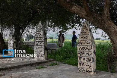 ایران زیباست | دشت «سوسن» خوزستان