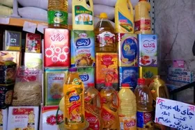 آیا قیمت روغن نباتی افزایش می&zwnj;یابد؟ | امسال ارز به روغن نباتی اختصاص نیافته است