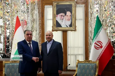 عکس‌هایی از دیدارهای رئیس مجلس با میهمانان خارجی مراسم تحلیف