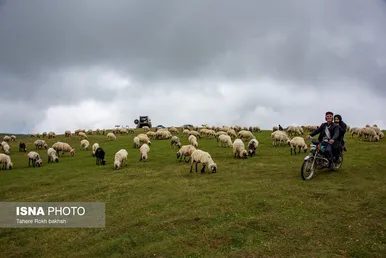 ایران زیباست | سوباتان بهشت مه آلود ایران
