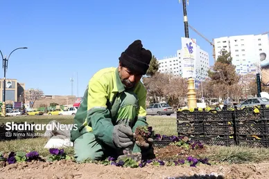گل‌کاری در نقاط مختلف شهر مشهد