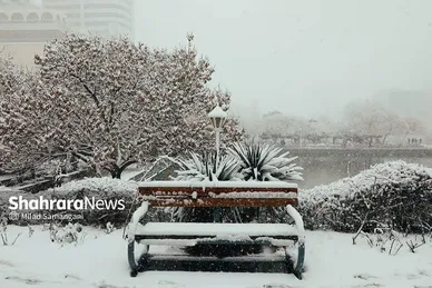 بارش برف در مشهد