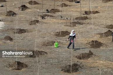 پویش سراسری درخت‌کاری در بوستان جهانشهر