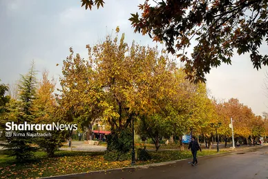 طبیعت پاییزی بوستان های مشهد