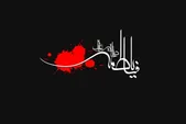 نگاهی تاریخی به اختلاف در تاریخ شهادت حضرت زهرا(س) | جایگاه ممتاز امّ‌ابیها از منظر امام‌رضا(ع)