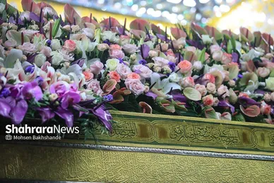 گزارش تصویری | تعویض گل‌های ضریح حرم مطهر امام‌رضا(ع)