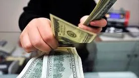 صادرکنندگان ۱۴/۲ میلیارد یورو تعهدات ارزی خود را ایفا کرده&zwnj;اند