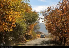 ایران زیباست | پاییز رنگارنگ کردستان