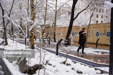 گزارش تصویری | بارش زیبای برف در مشهد