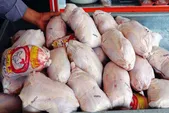 تولید گوشت مرغ در ماه رمضان و نوروز در خراسان‌رضوی مازاد بر نیاز خواهد بود