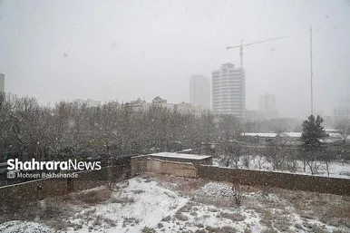 گزارش تصویری | بارش برف در مشهد (۲۱ بهمن ۱۴۰۳)