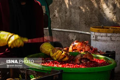 ایران زیباست | برداشت انار در لرستان