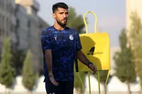 احتمال بازگشت نیک نفس به استقلال